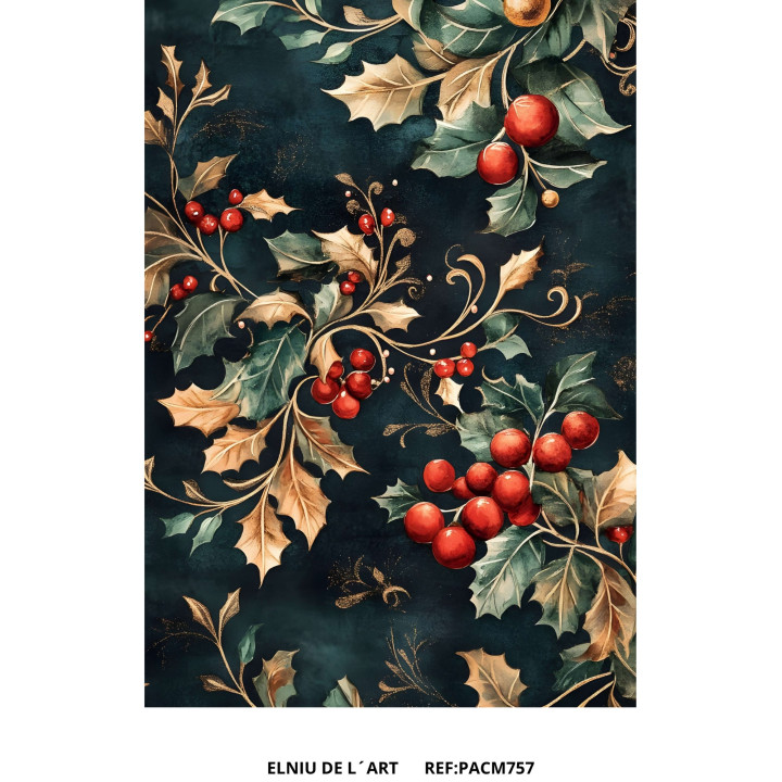 Arroz-papera  Gabonak