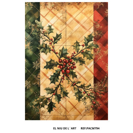 Paper d’Arròs de Nadal
