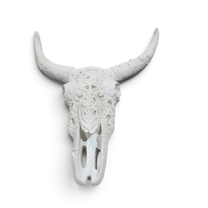 Cabeza de Vaca BOHO