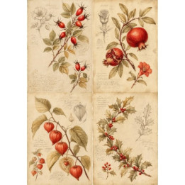 Papel de Arroz Soft A3 30x41cm