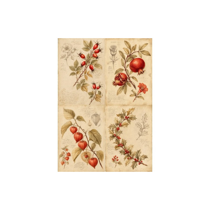 Papel de Arroz Soft A3 30x41cm