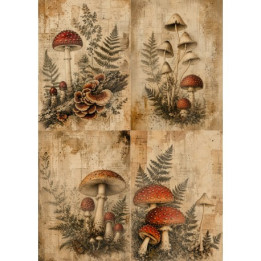 Arroz-paper Soft A3 30x41cm