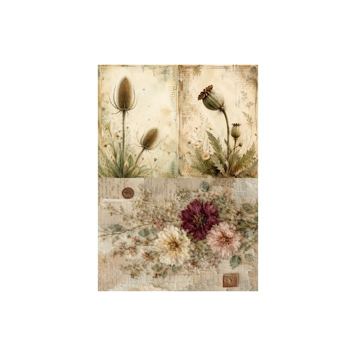 Papel de Arroz Soft A3 30x41cm