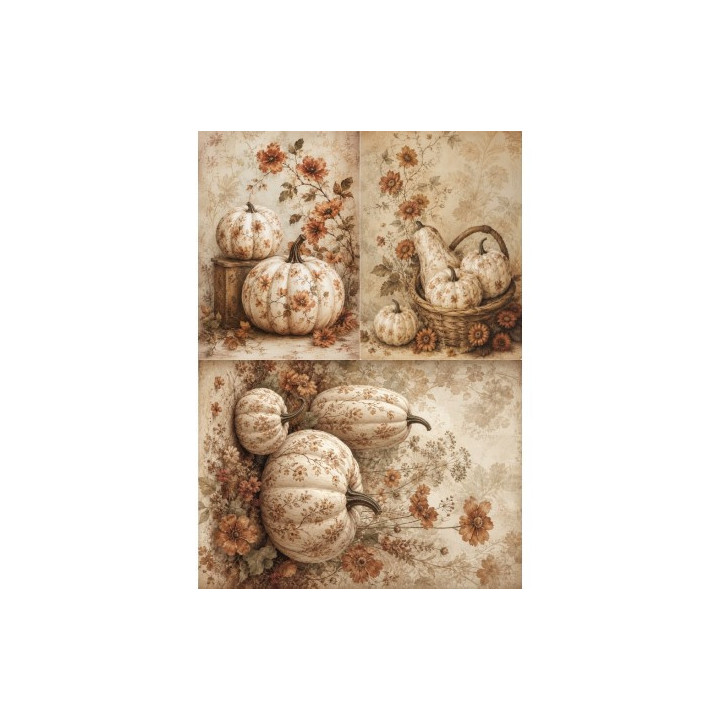 Papel de Arroz Soft A3 30x41cm
