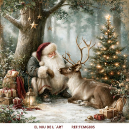 Transfer DTF Alice