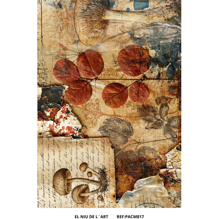 Papel de Arroz  Otoño