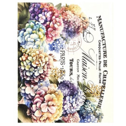 copy of copy of copy of copy of copy of copy of copy of copy of copy of copy of Transfer CADENCE HOME-DECOR.*