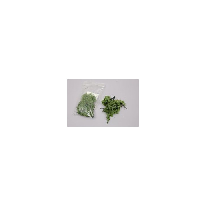 Musgo 15 G. Verde Os.