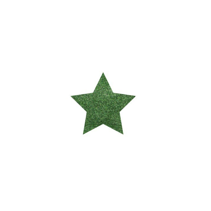 GLITTER POWDER PEN Hologr. Verde