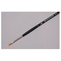 copy of