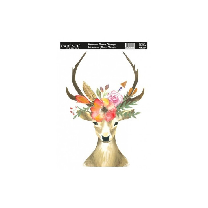 KTSB002 Ehunerako transferra Kitchen 25x35