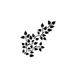 Stencil VEGETAL BN066 Cadence.*