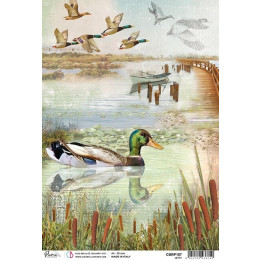 Papel de arroz A4 Jetty