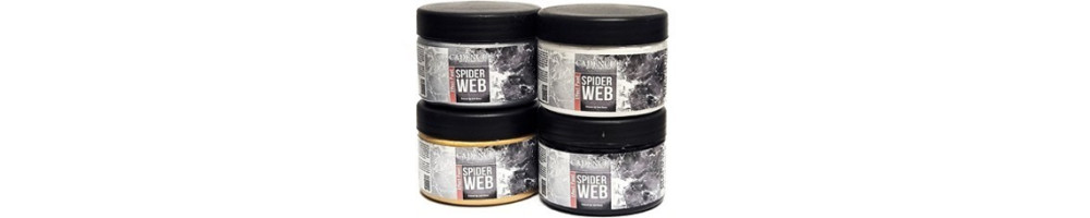 Spider WEB